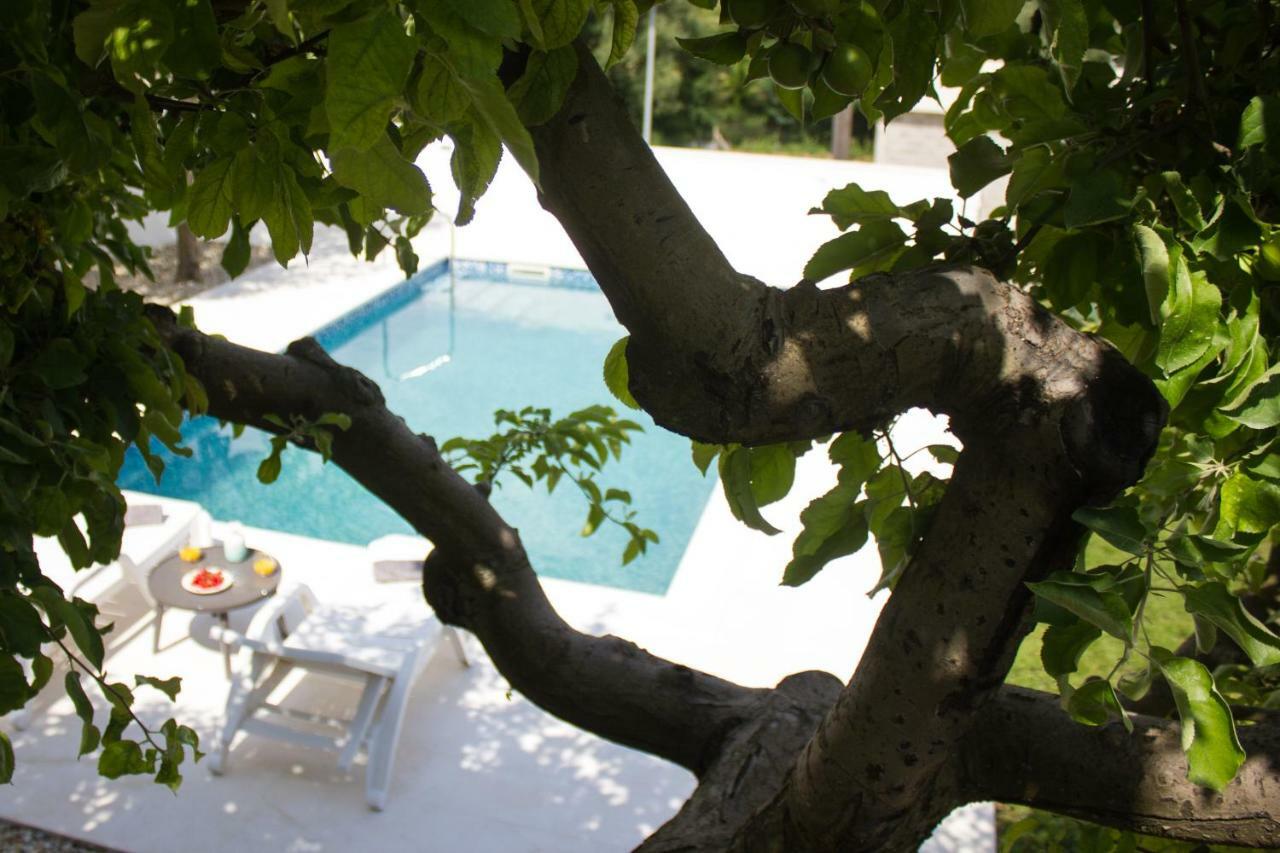 Villa Fig Zmijavci Buitenkant foto